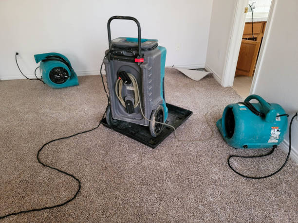 Best Water damage restoration near me  in Roselle, NJ