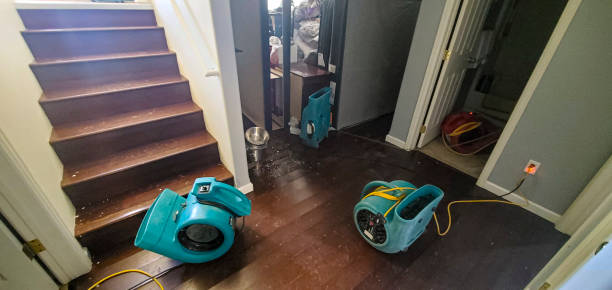 Best Water damage repair service  in Roselle, NJ