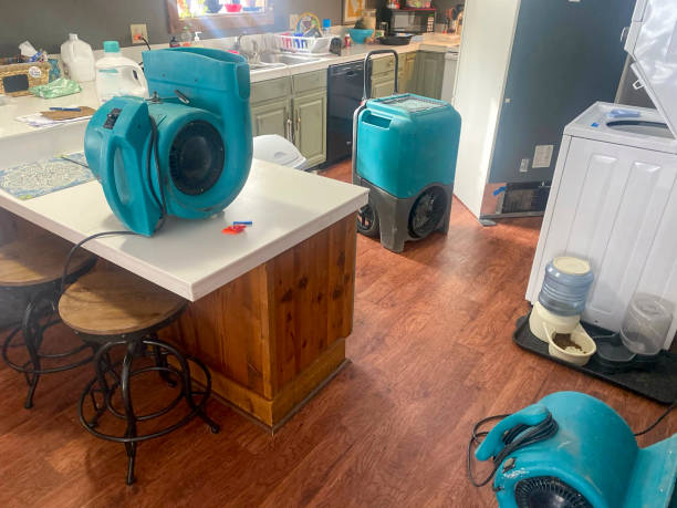 Best Professional water damage repair  in Roselle, NJ