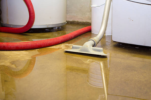 Best Local water damage restoration  in Roselle, NJ