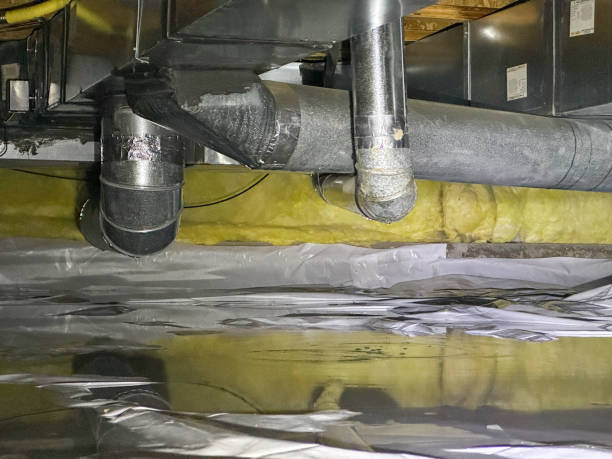 Best Water damage restoration mold remediation  in Roselle, NJ