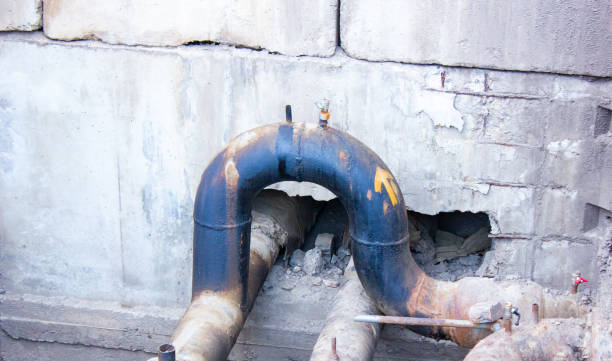 Best Water damage restoration near me  in Roselle, NJ